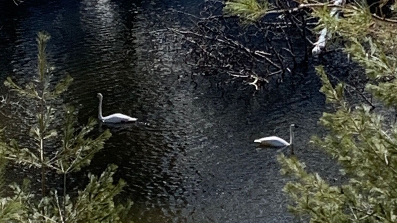 Photo of Others in St Germain