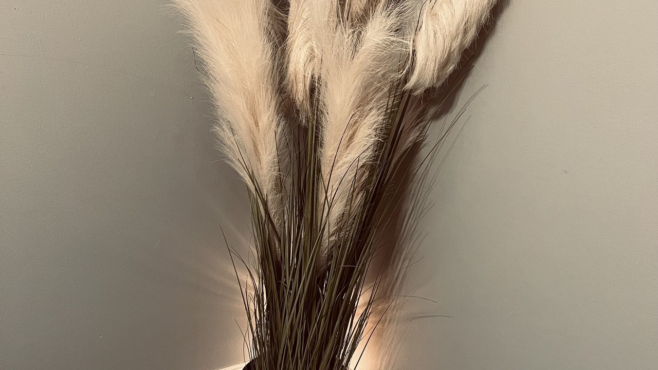 Photo of Others in Springfield