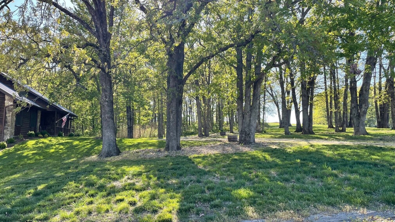 Photo of Outdoor in Linn