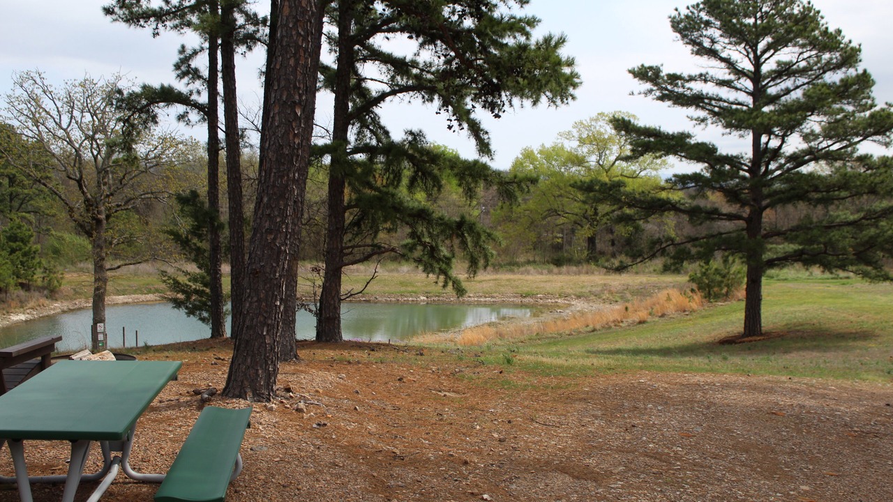 Photo of Outdoor in Talihina