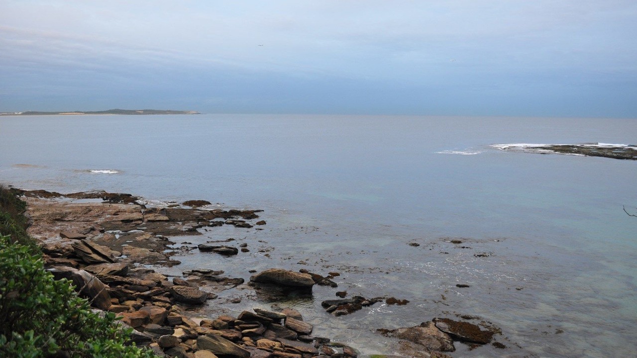 Photo of Others in Cronulla