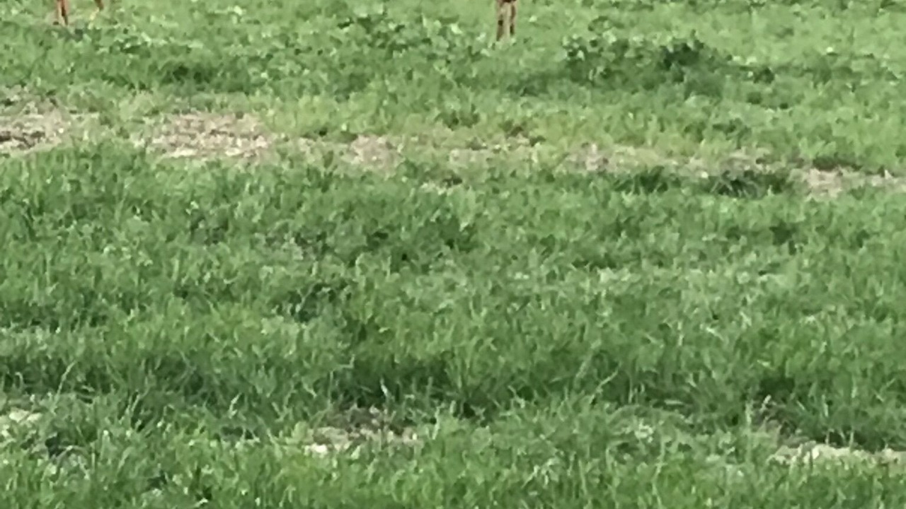 Photo of Others in Essay