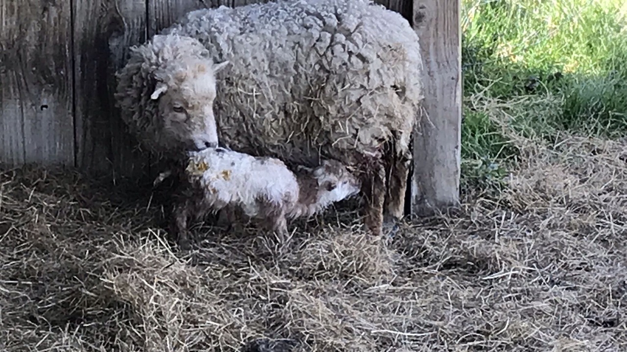 Photo of Outdoor in Essay