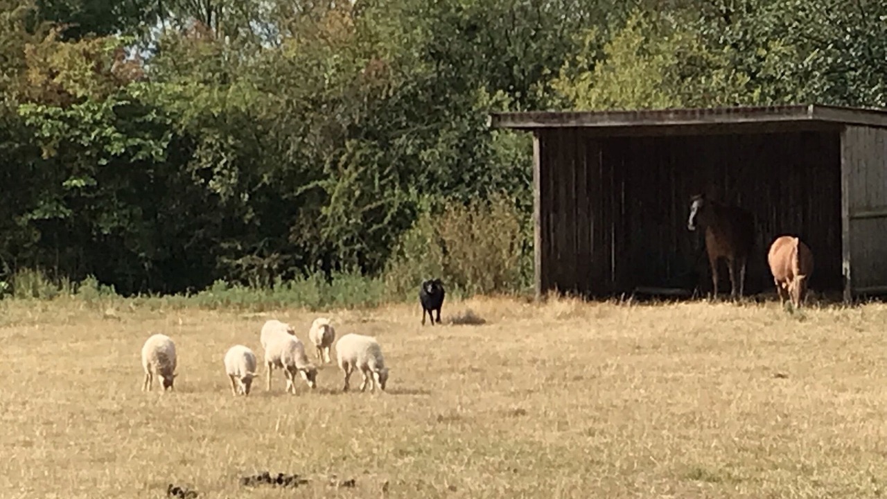 Photo of Outdoor in Essay