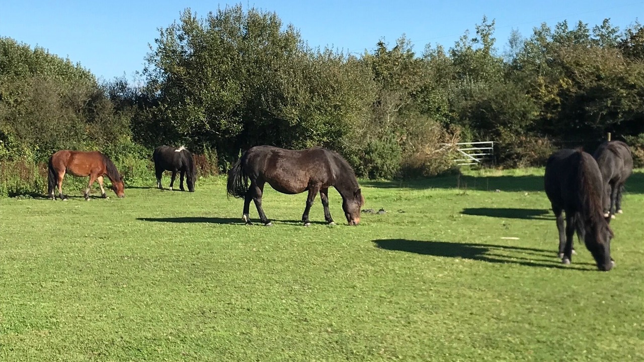 Photo of Outdoor in St Wenn