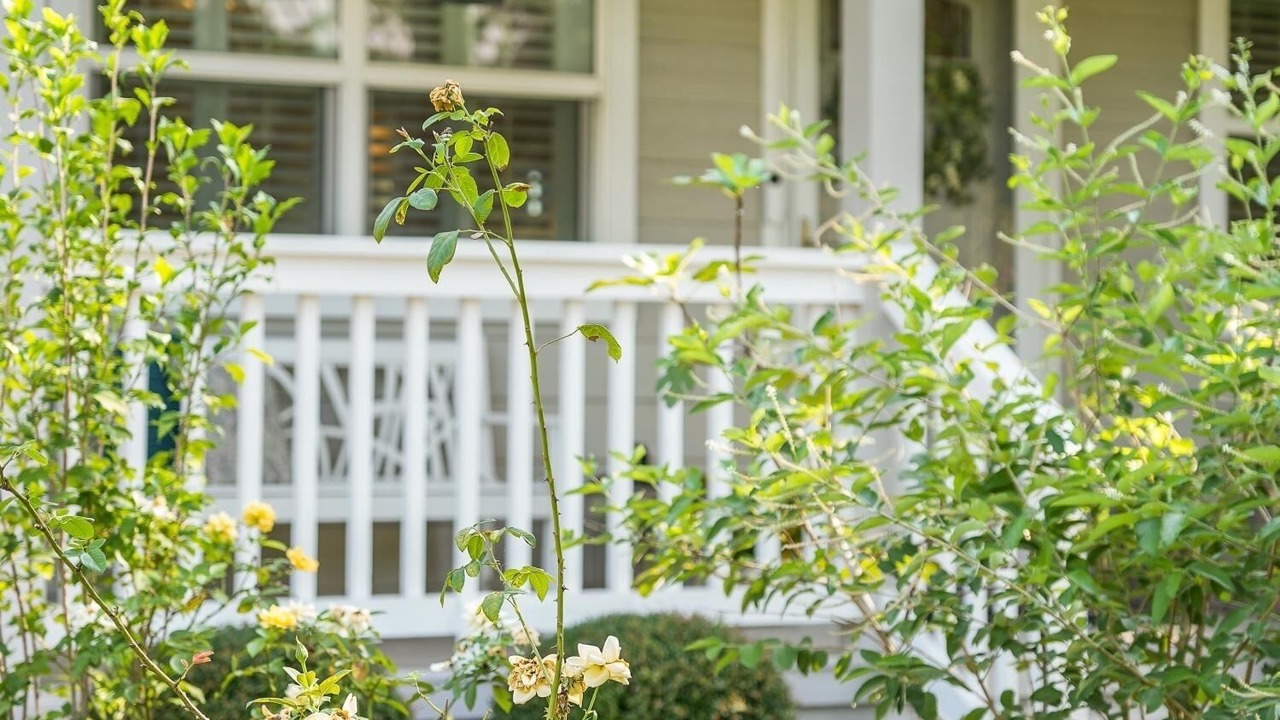 Photo of Outdoor in Montgomery