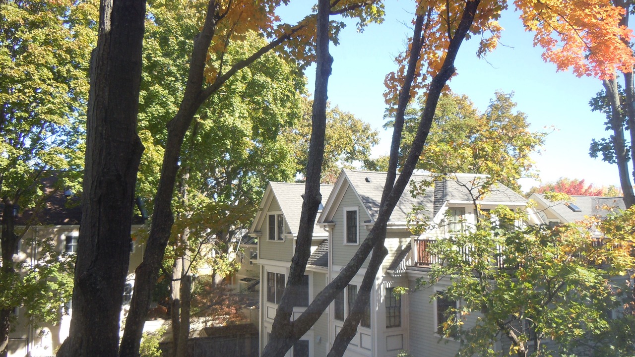 Photo of Outdoor in Mid-Cambridge