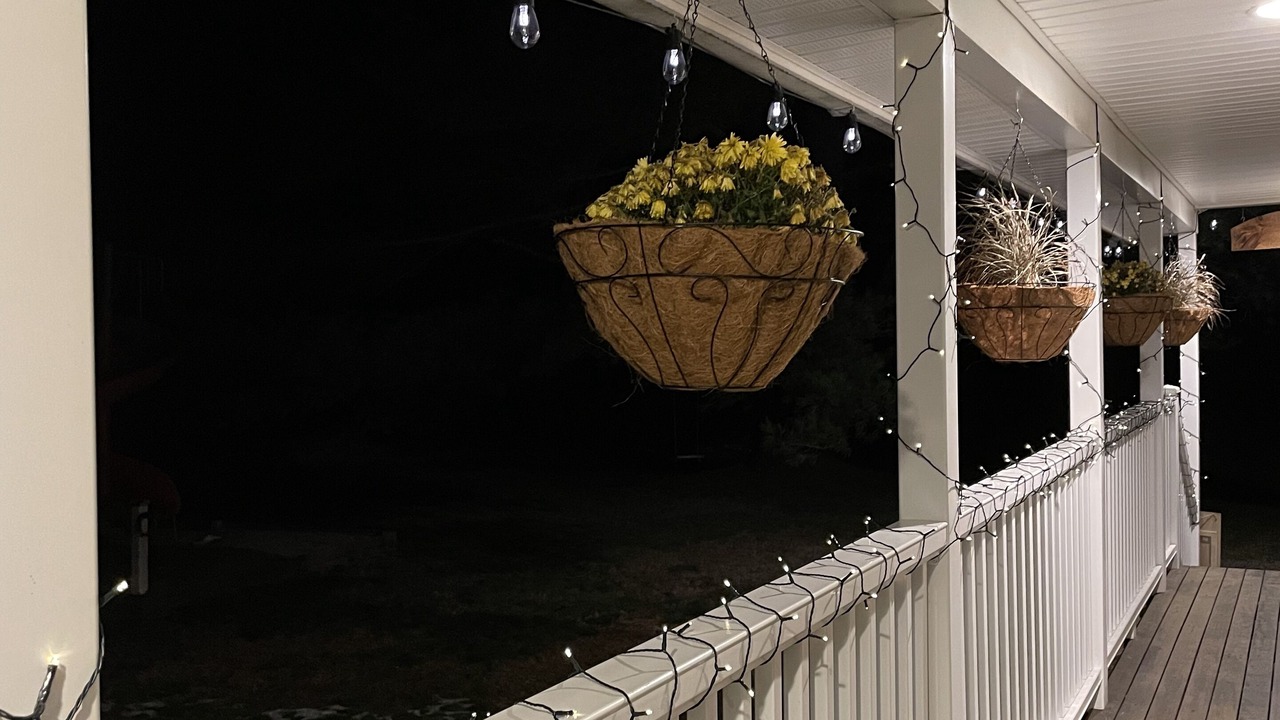 Photo of Others in West Ossipee