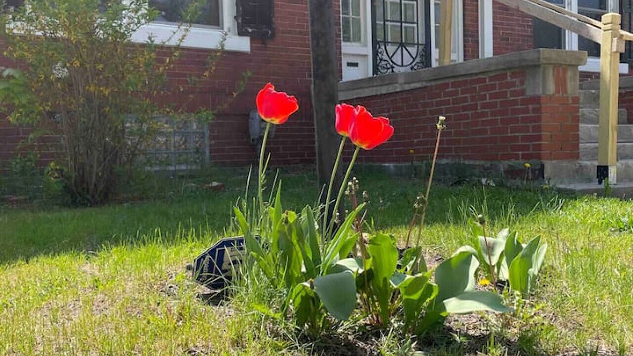 Photo of Outdoor in Detroit