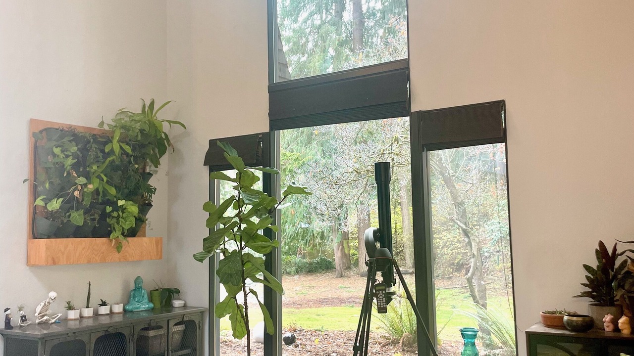 Photo of Others in South Hill