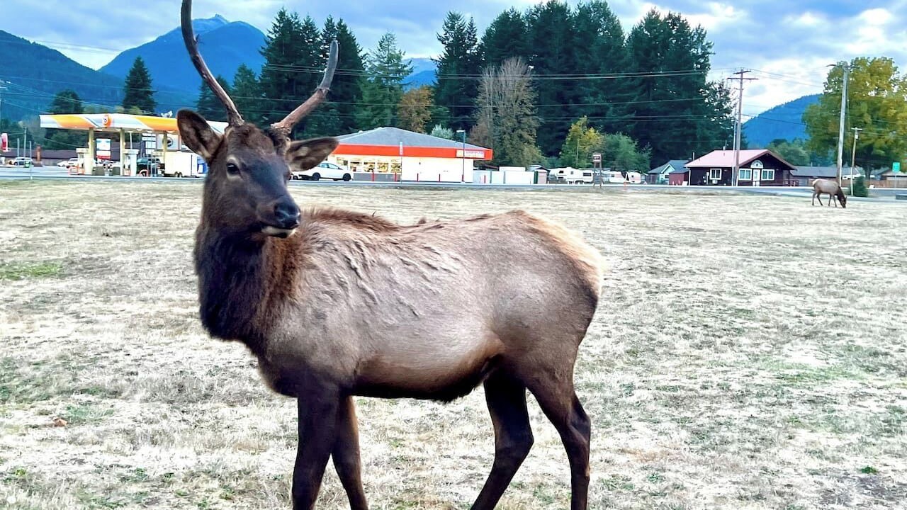 Photo of Others in Packwood