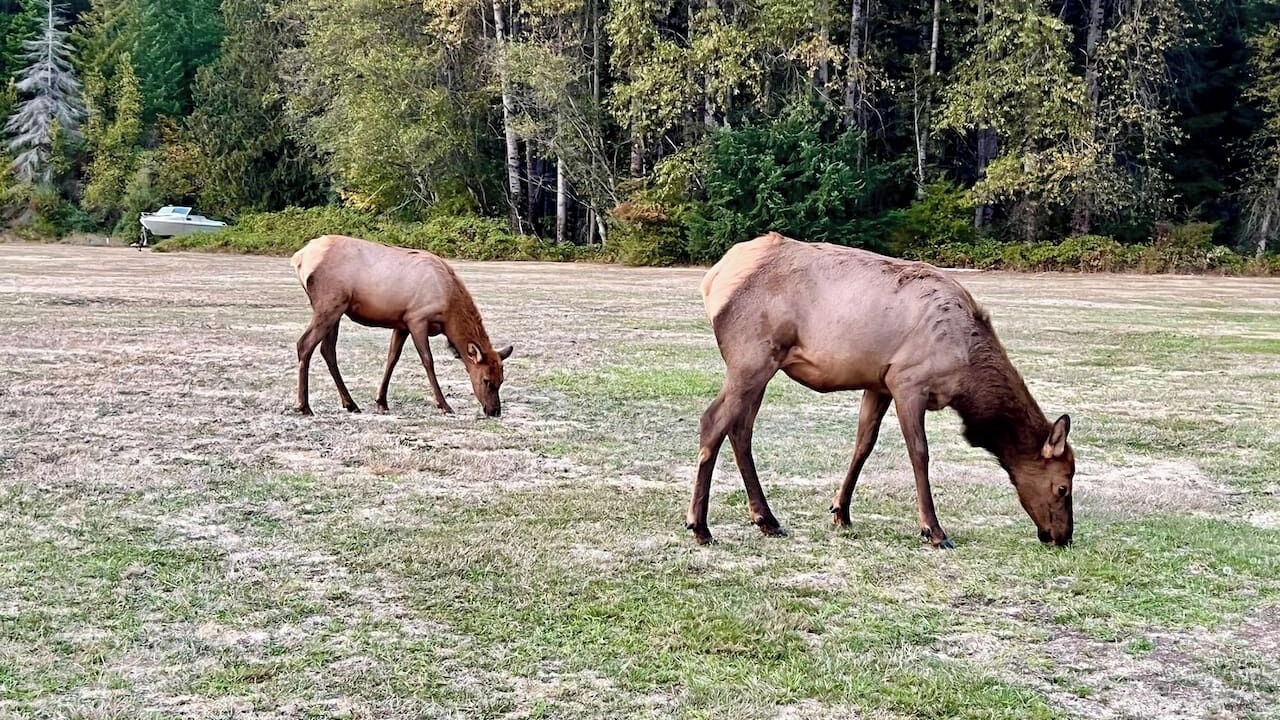 Photo of Others in Packwood