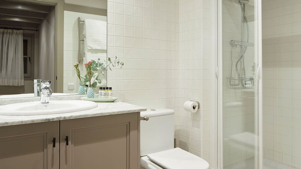 Photo of Bathroom in Baqueira