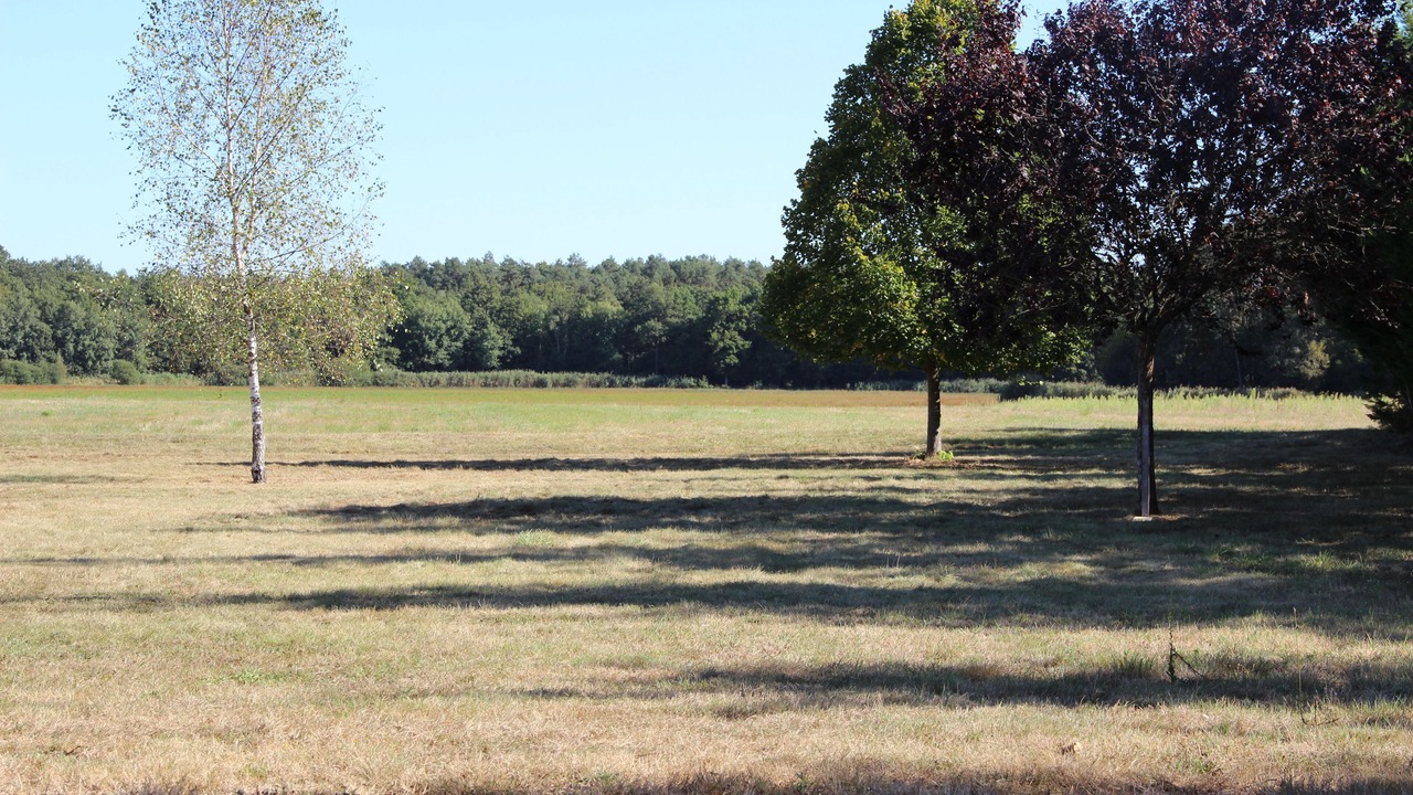 Photo of Outdoor in Fontaines-en-Sologne