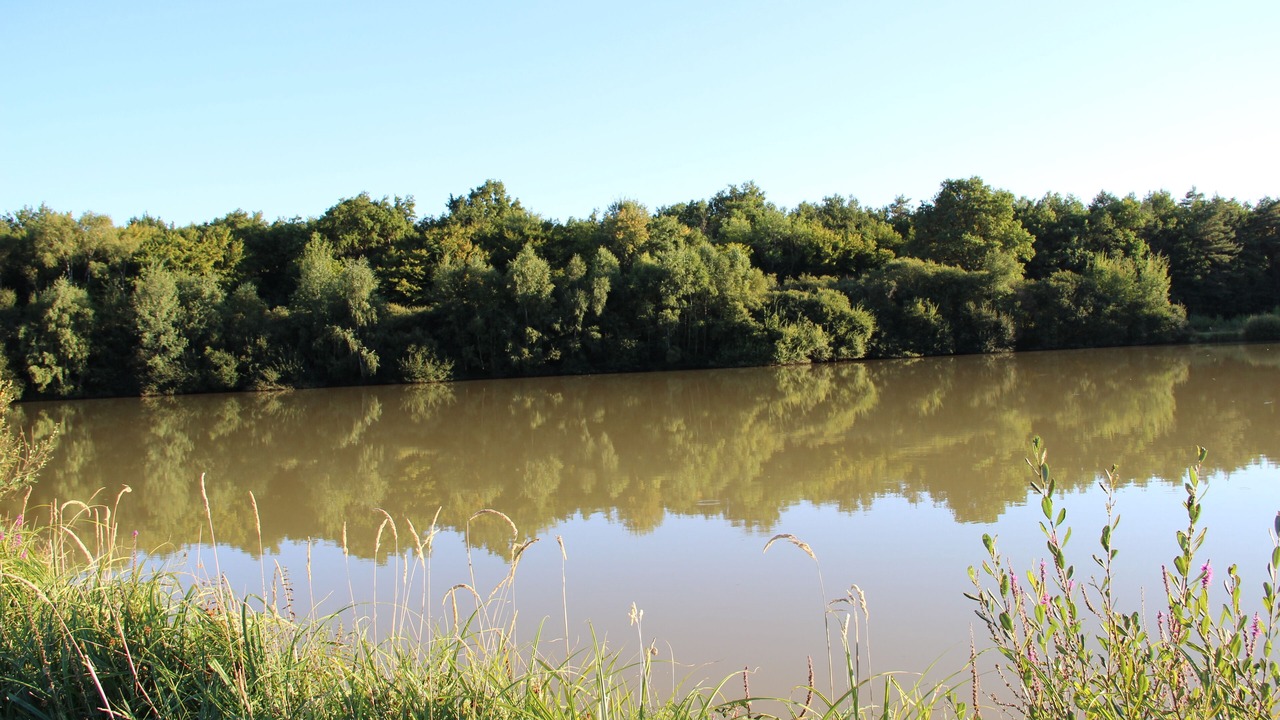 Photo of Others in Fontaines-en-Sologne
