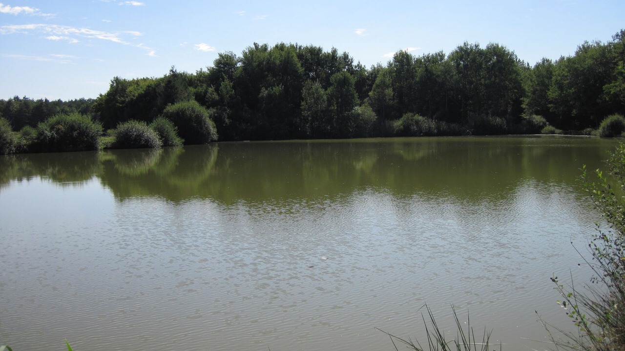 Photo of Others in Fontaines-en-Sologne