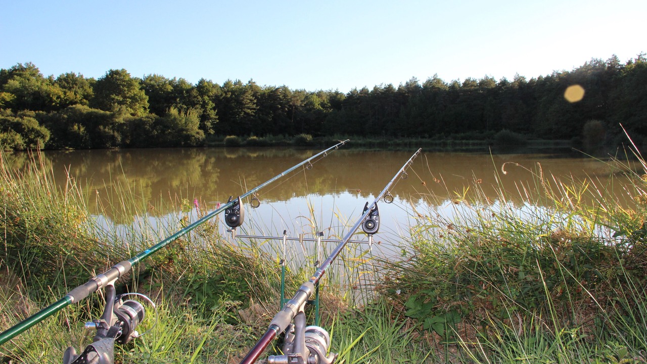 Photo of Outdoor in Fontaines-en-Sologne