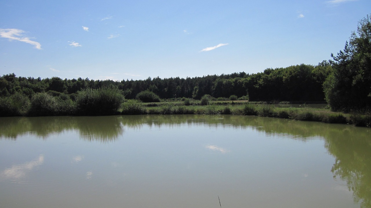 Photo of Others in Fontaines-en-Sologne