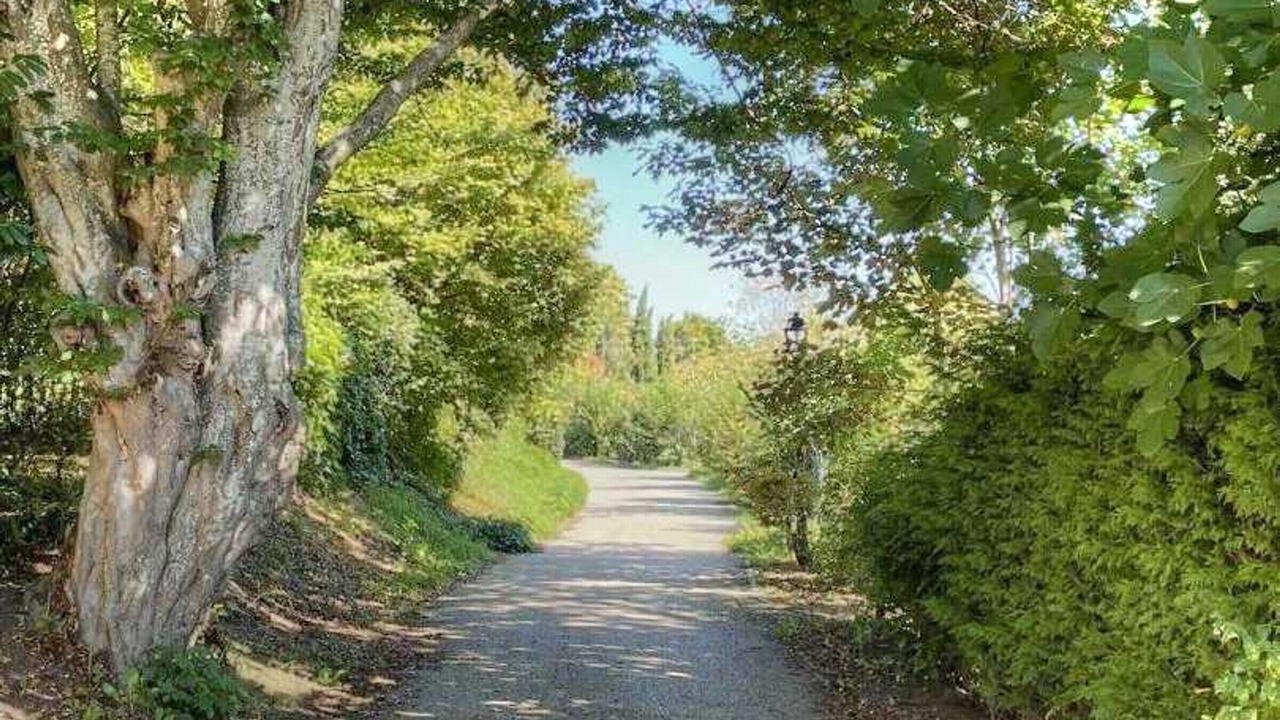 Photo of Outdoor in Azay-sur-Cher