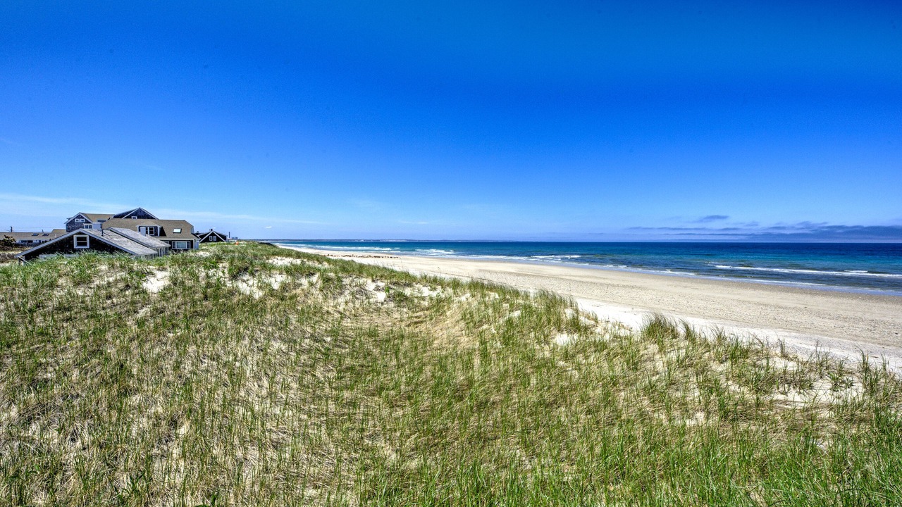 Photo of Others in East Sandwich