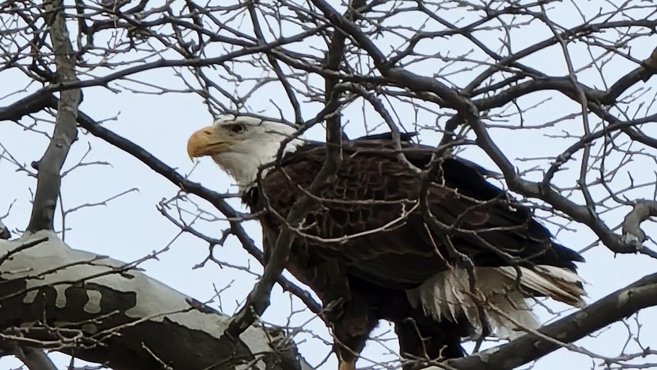 Photo of Others in Conneaut