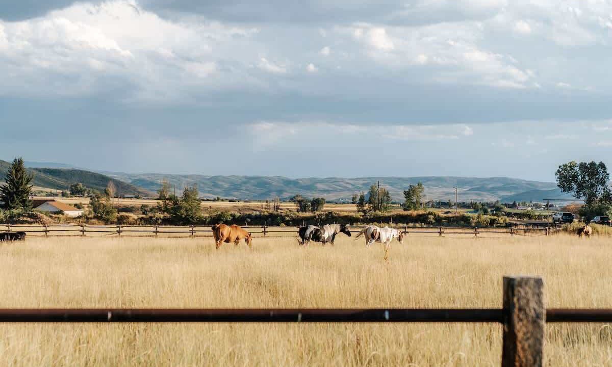 Photo of Others in Kamas