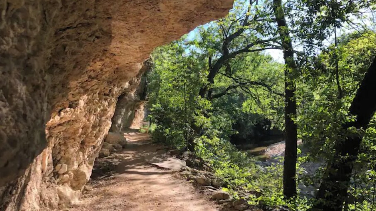 Photo of Others in Old West Austin