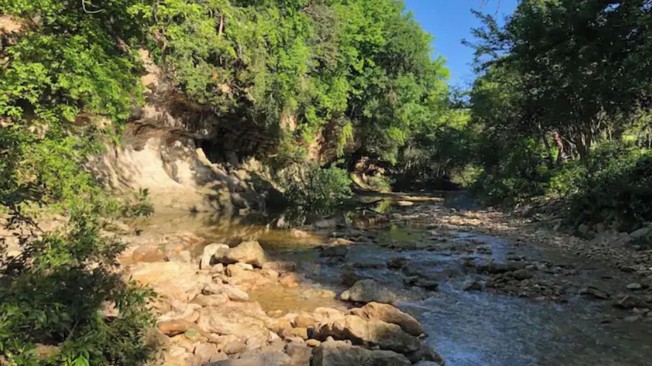 Photo of Others in Old West Austin