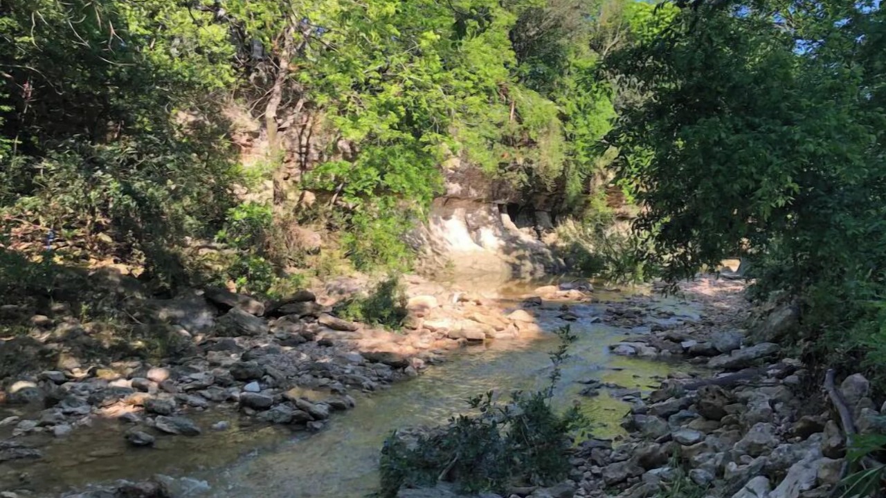 Photo of Outdoor in Old West Austin