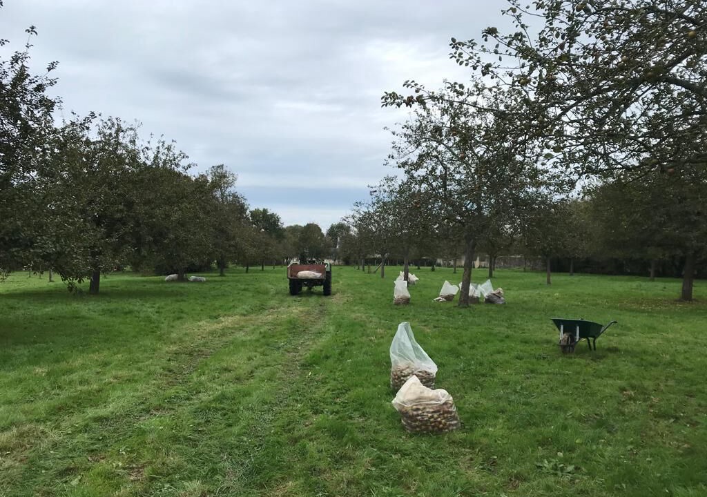 Photo of Outdoor in Colleville-sur-Mer
