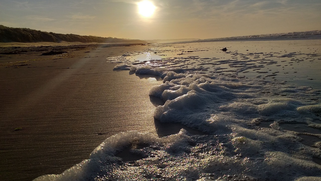 Photo of Others in Colleville-sur-Mer