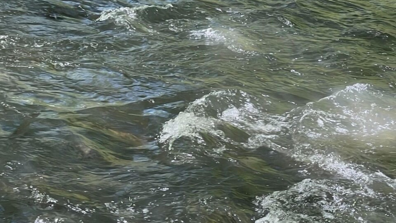 Photo of Others in Morganton