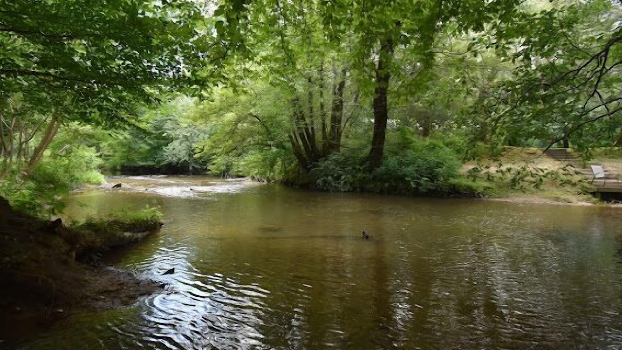 Photo of Others in Morganton