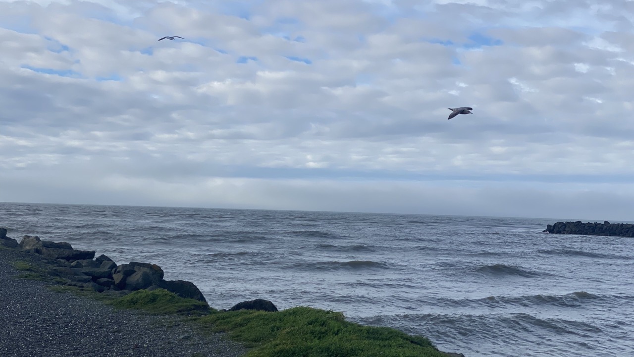 Photo of Others in Barview