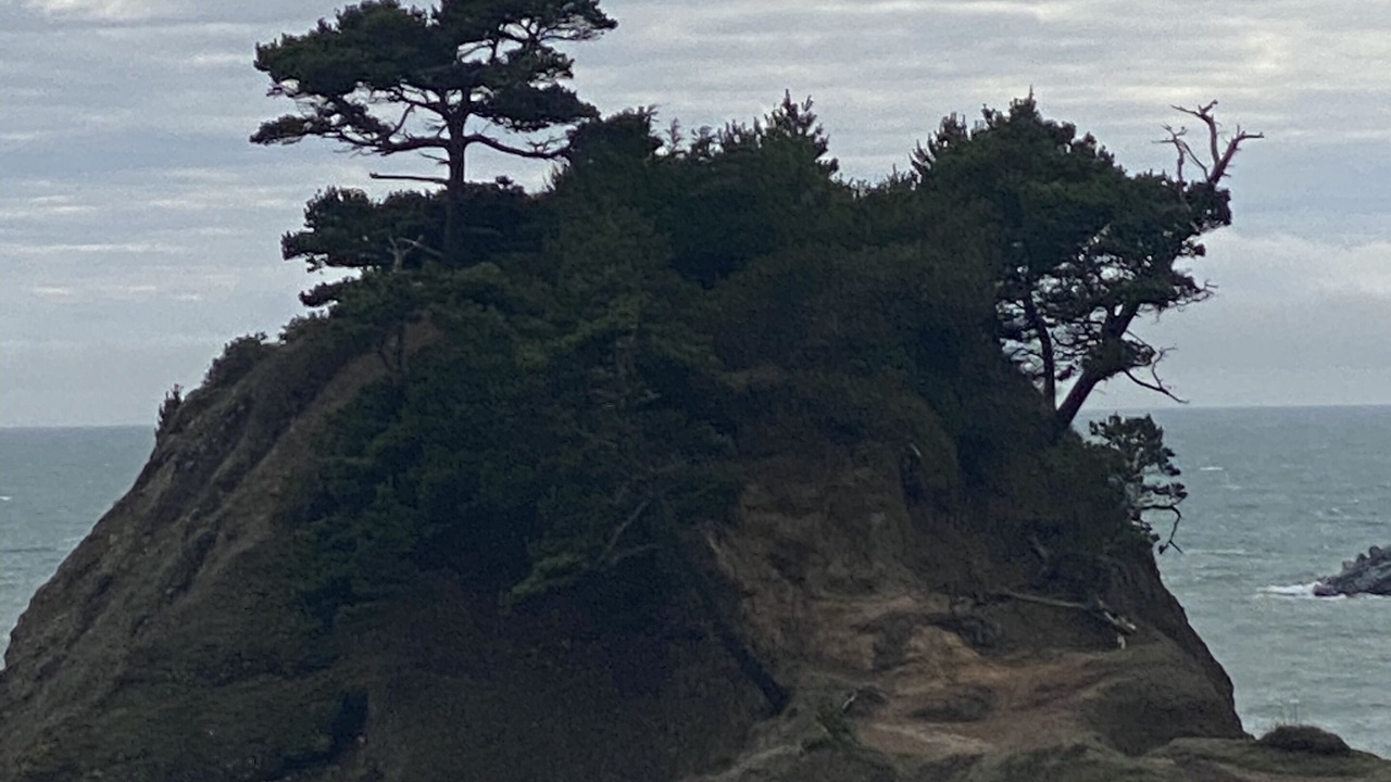 Photo of Others in Barview