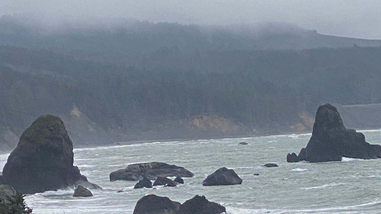 Photo of Others in Barview