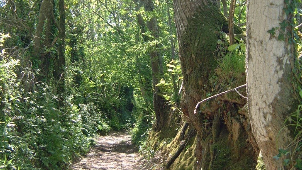 Photo of Outdoor in Clohars-Carnoet