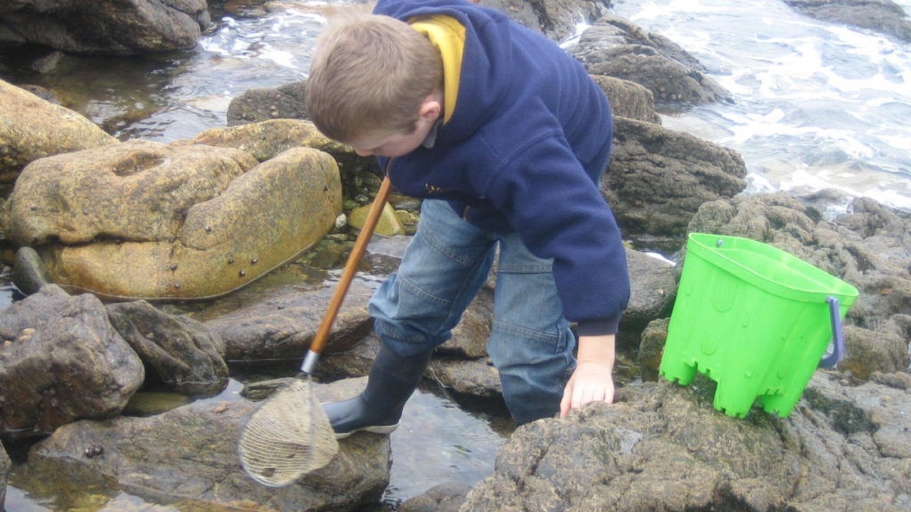 Photo of Others in Clohars-Carnoet