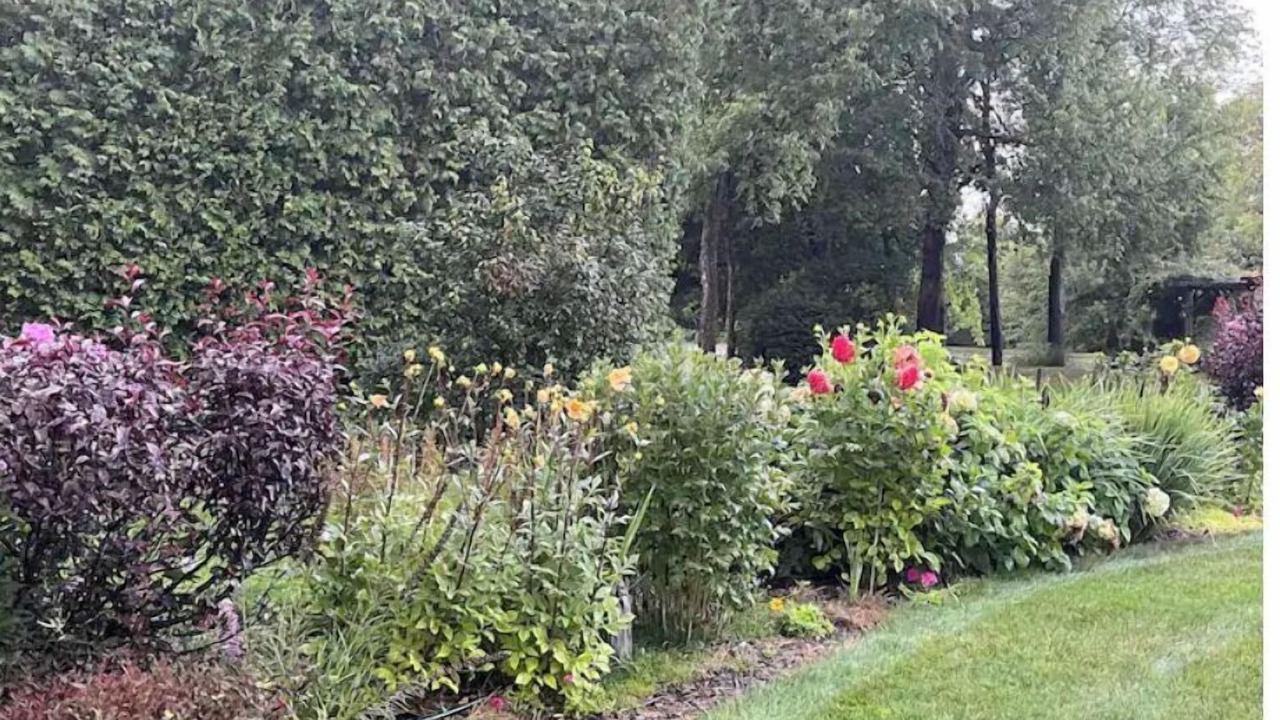 Photo of Outdoor in Springford