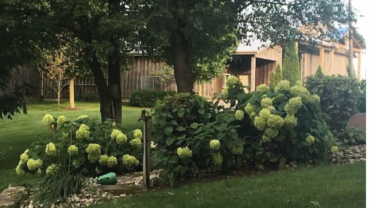 Photo of Outdoor in Springford