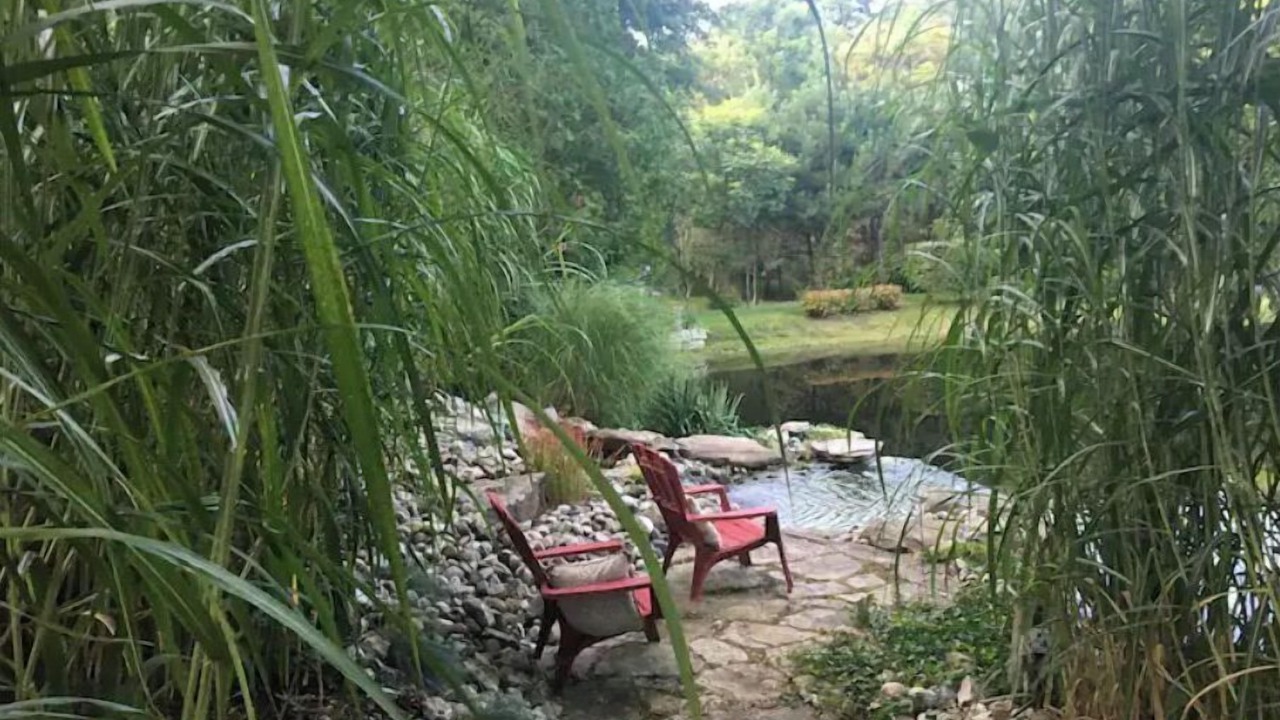 Photo of Outdoor in Springford