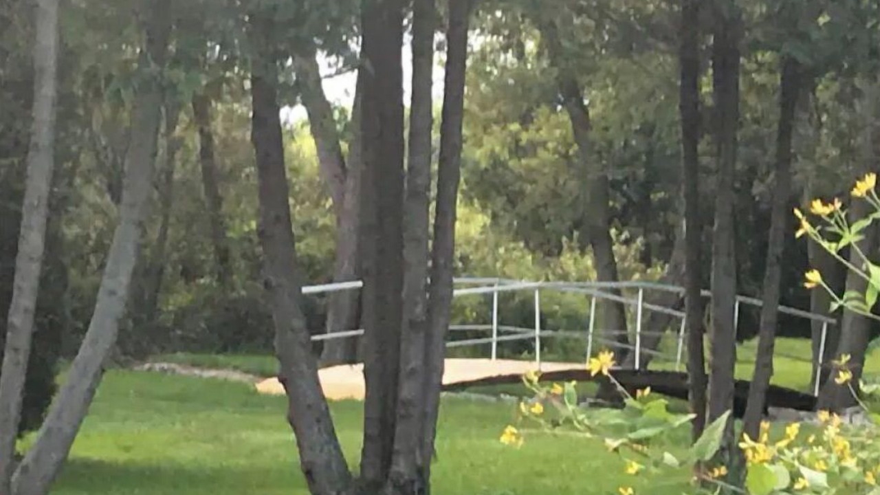 Photo of Outdoor in Springford