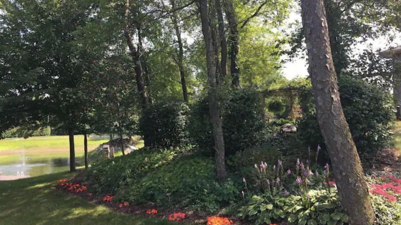 Photo of Outdoor in Springford