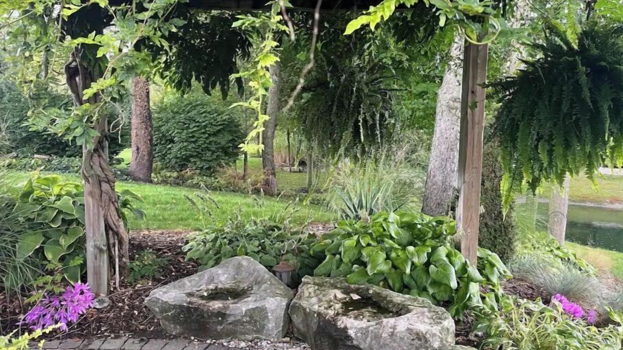 Photo of Outdoor in Springford