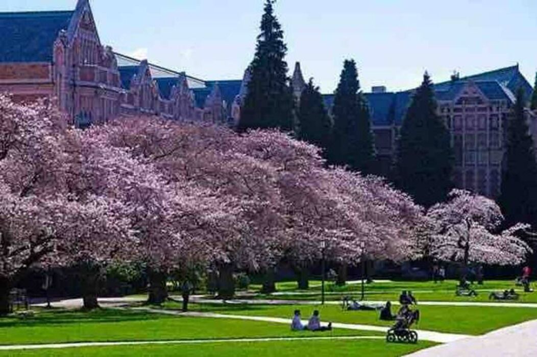 Photo of Others in University District