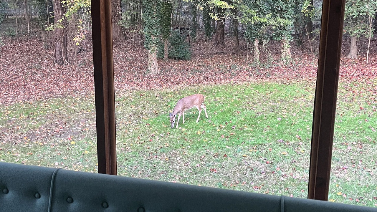 Photo of Others in Morningside-Lenox Park