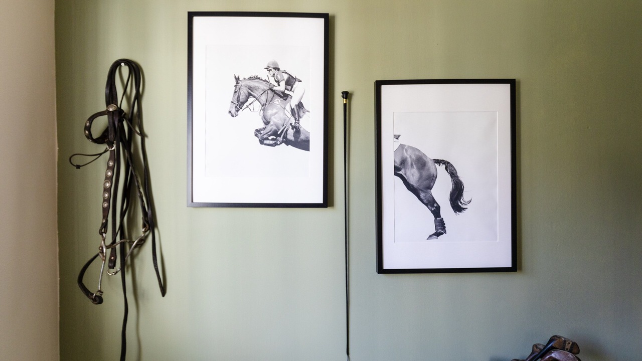 Photo of Others in Chichester