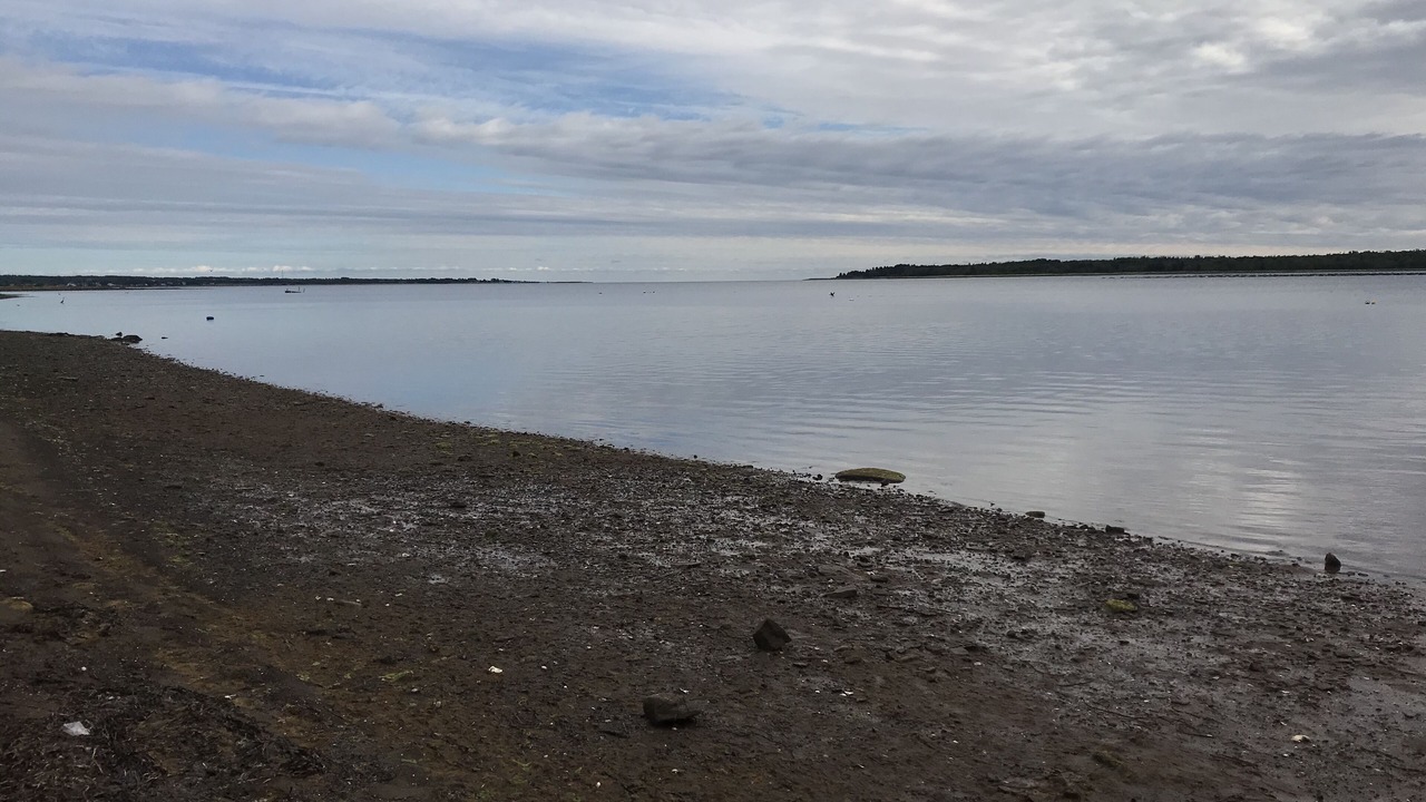 Photo of Others in Shediac Bridge