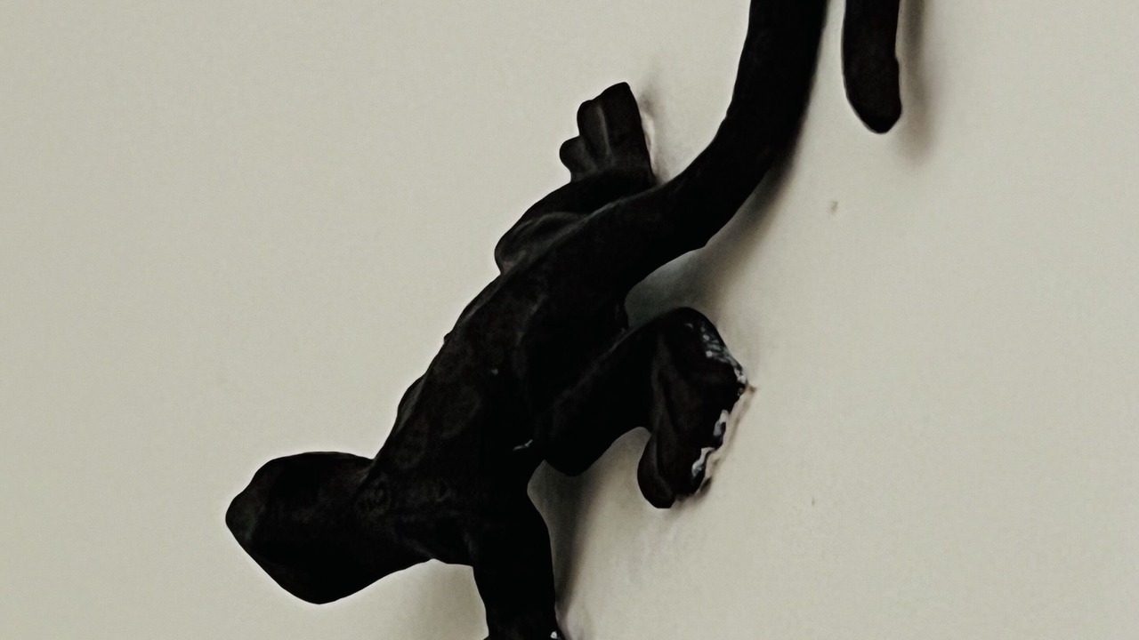 Photo of Others in Aigues-Mortes