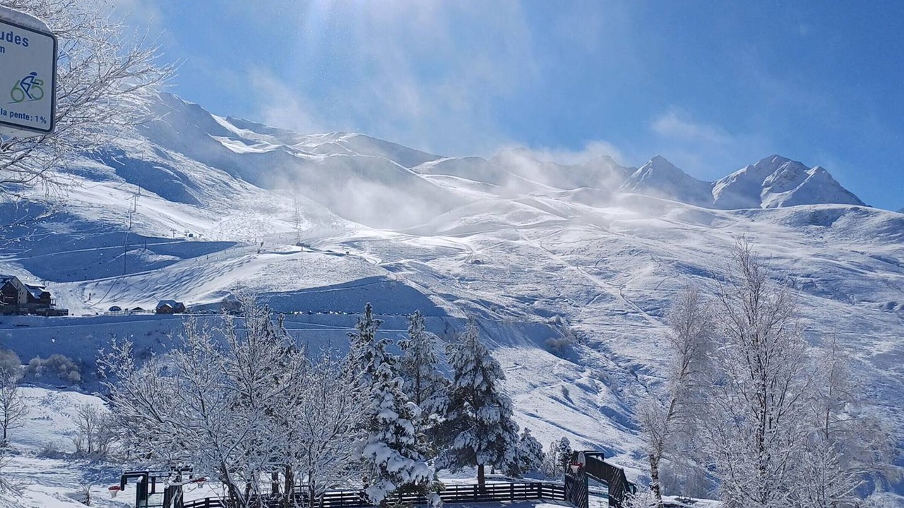 Photo of Others in Germ